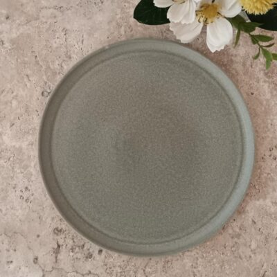 Plato Llano Terra