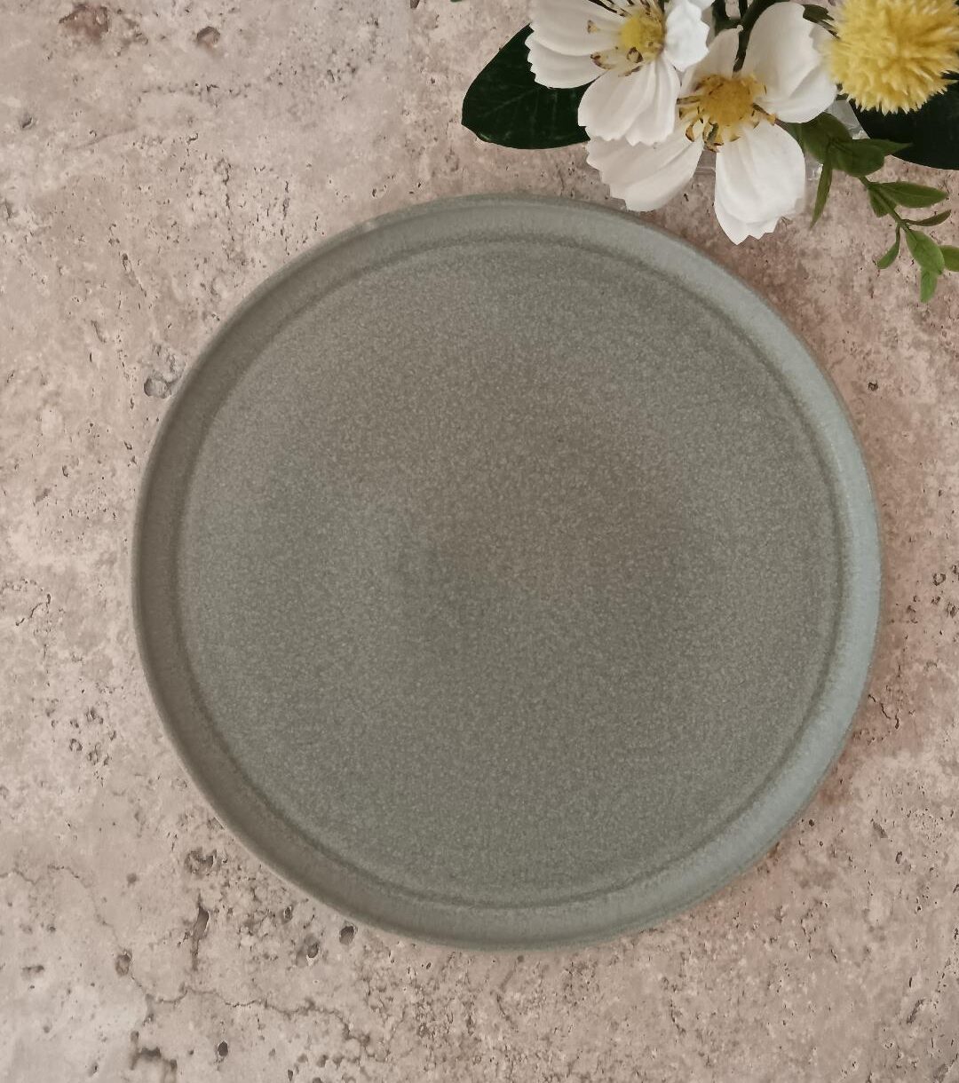 Plato Llano Terra