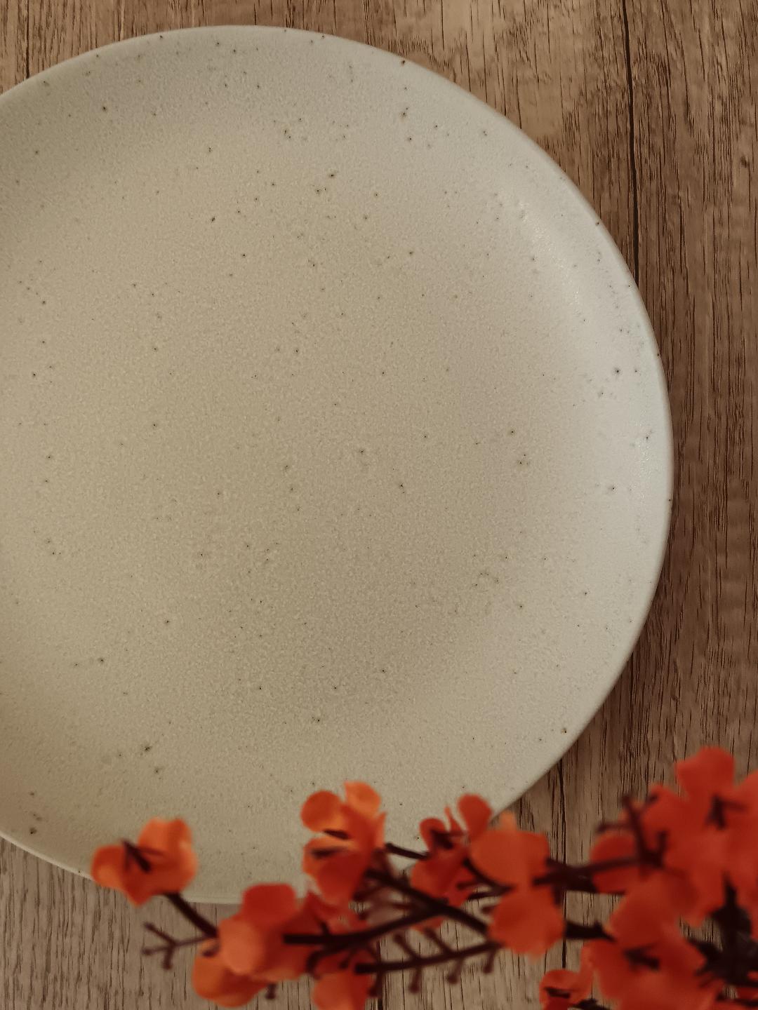 Plato Llano Terra Beige - Imagen 3