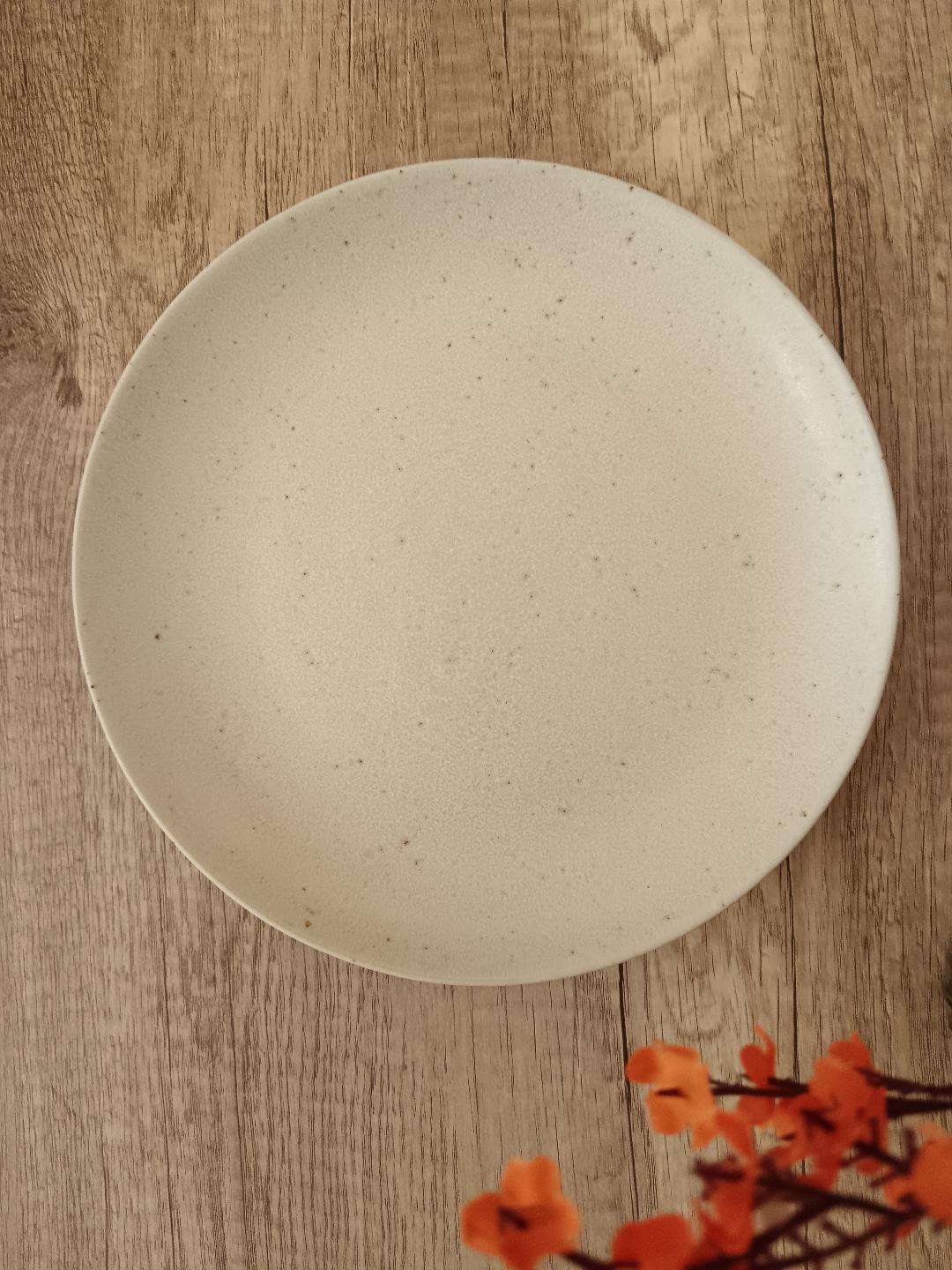 Plato Llano Terra Beige