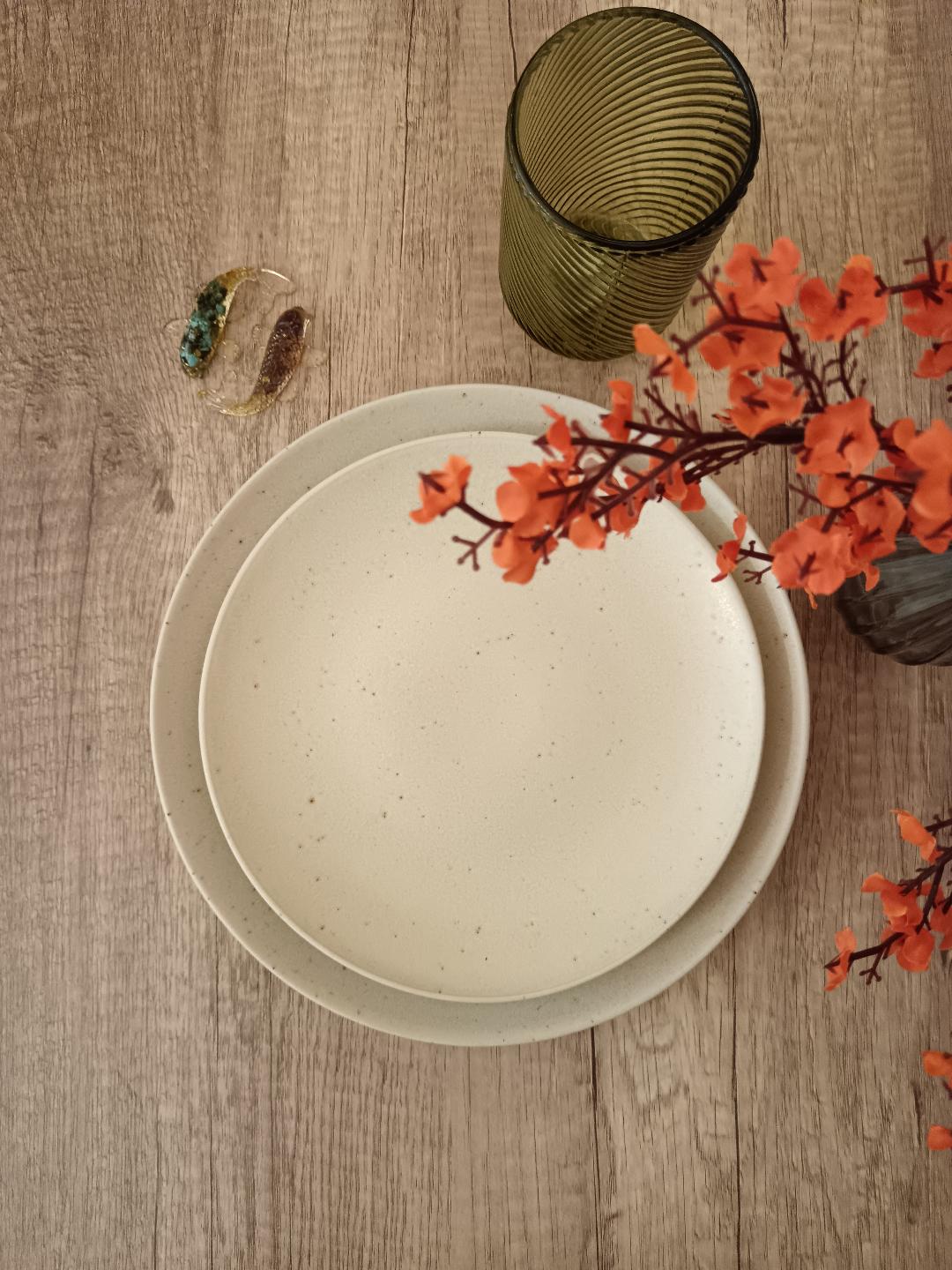 Plato Llano Terra Beige - Imagen 5